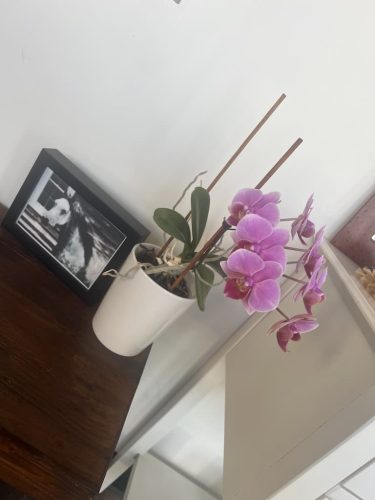 Tulsa-Massage-Therapy-43